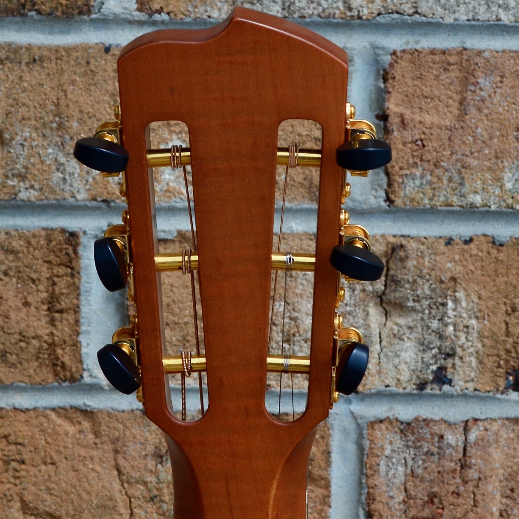 Catalinbread Breedlove USED Masterclass Custom Concertina Left Handed Adirondack Spruce - Cocobolo