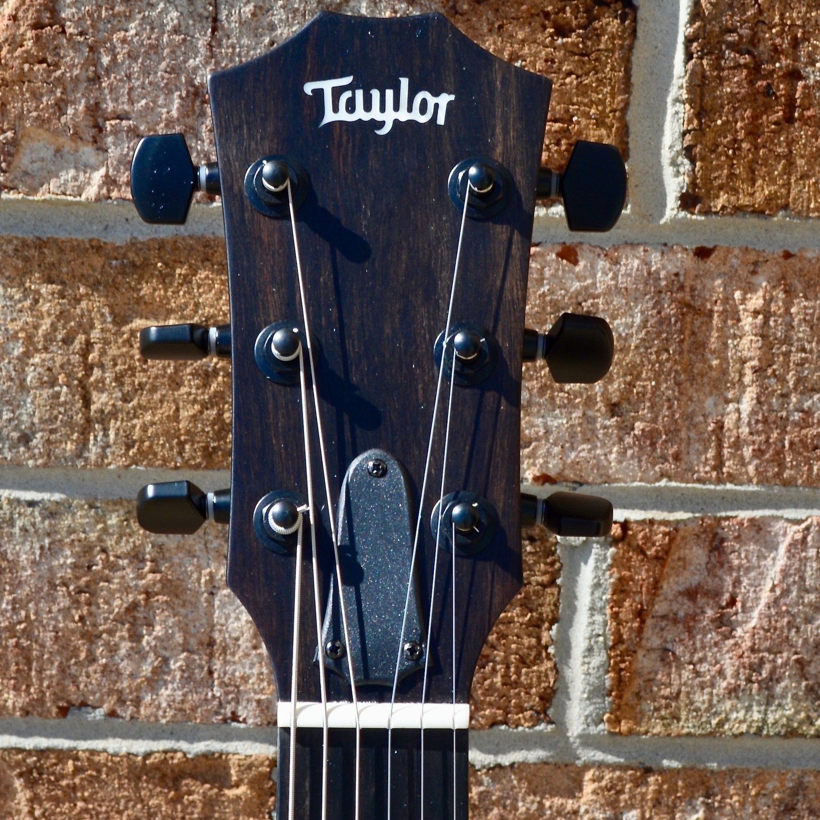 sassafras taylor guitar