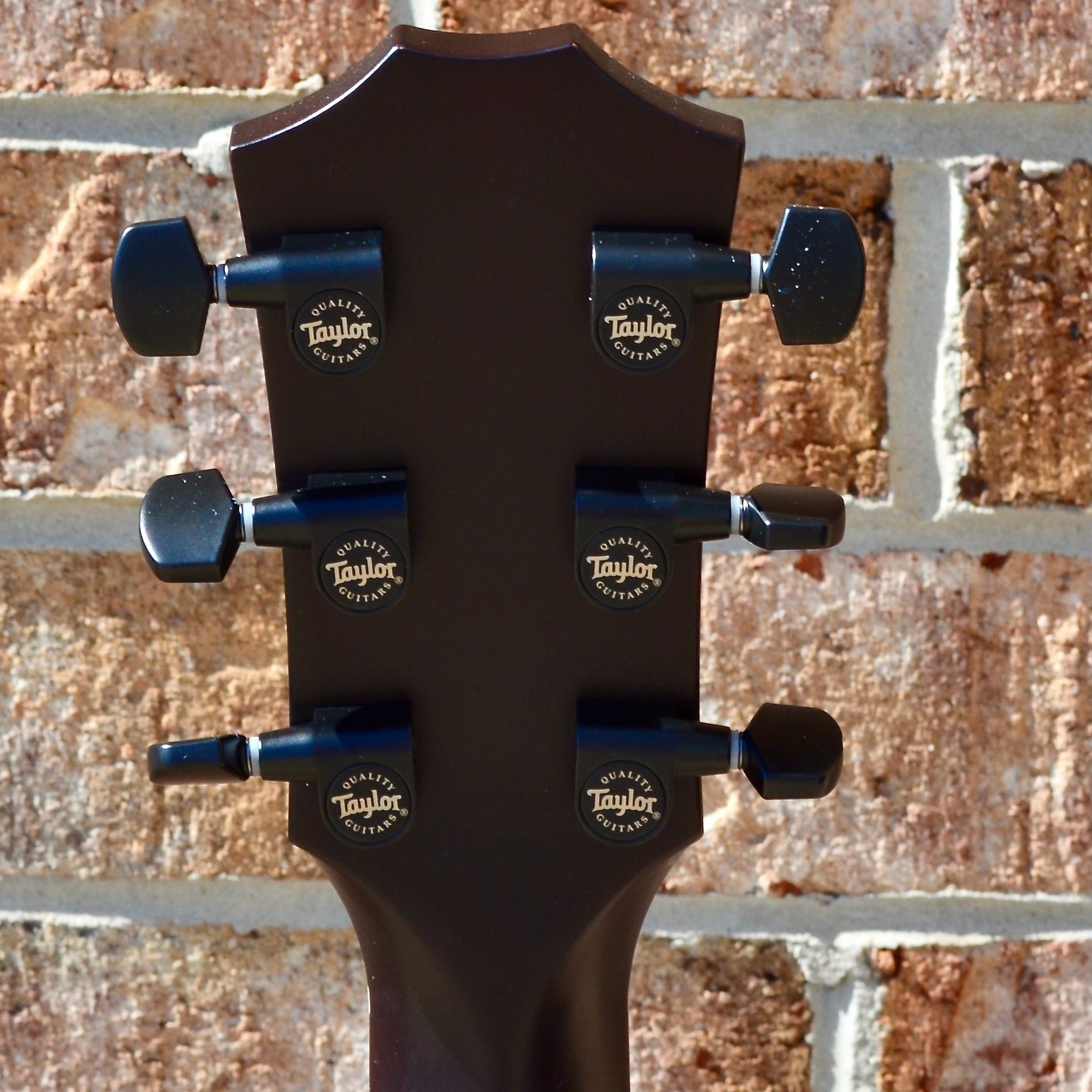 sassafras taylor guitar