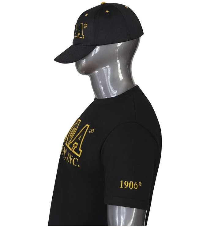 ΑΦΑ SALE! APA Alpha Phi Alpha Luxury T- Shirt (M,2X) (SP26)