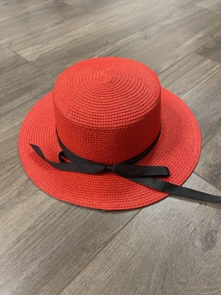 ΔΣΘ DST Red Straw Hat