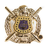 ΩΨΦ 3D Color Shield Pin