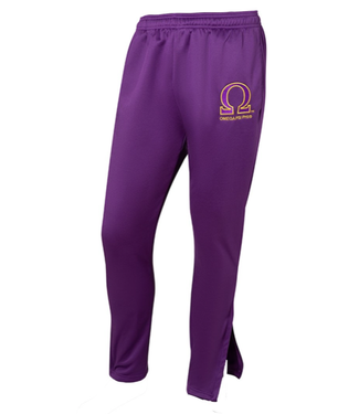 ΩΨΦ OPP Elite Hoodie Pullover (FA25) 50% off
