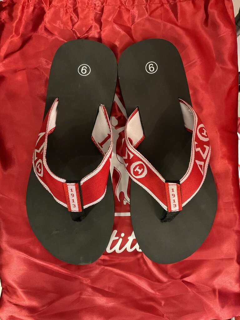 ΔΣΘ DST Flip Flops (*IS)