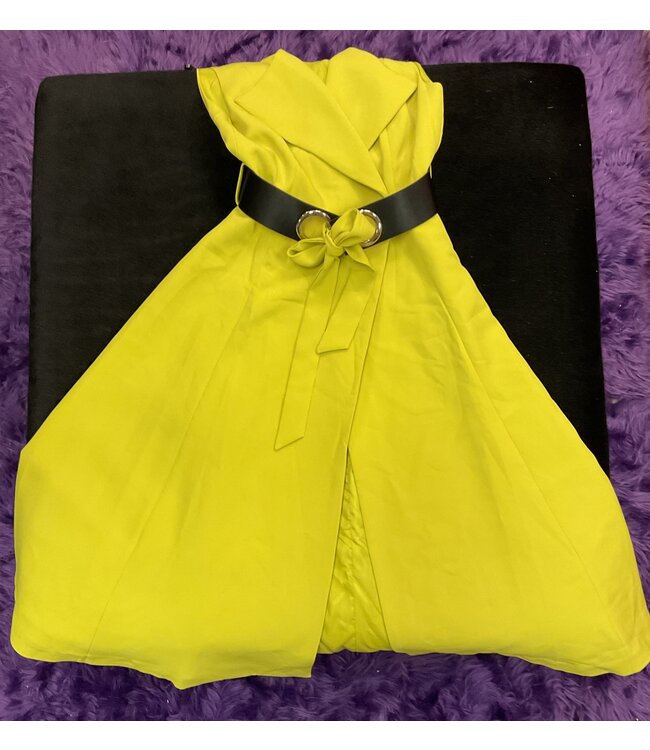 W Small Chartreuse Gold Dress (Midi length)