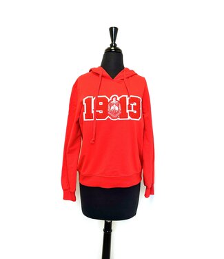 ΔΣΘ DST 1913 Red, Black & Gray Hoodie (FA25)
