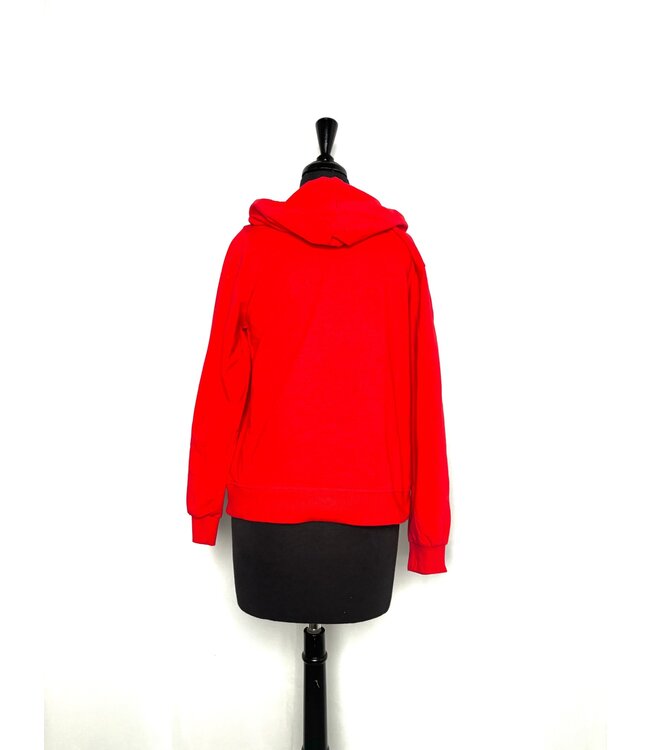 ΔΣΘ DST 1913 Red, Black & Gray Hoodie (FA25)