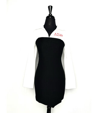ΔΣΘ DST Long sleeve bodycon dress (L) 2025