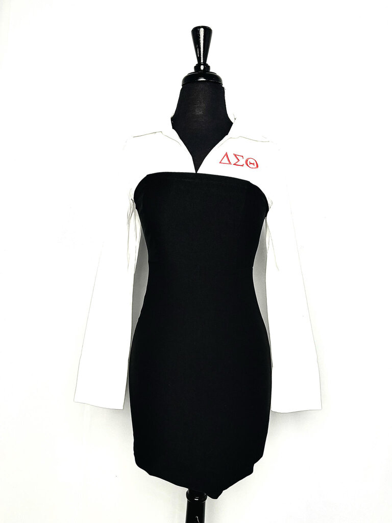 ΔΣΘ DST Long sleeve bodycon dress (L) 2025