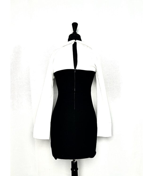 ΔΣΘ DST Long sleeve bodycon dress (L) 2025