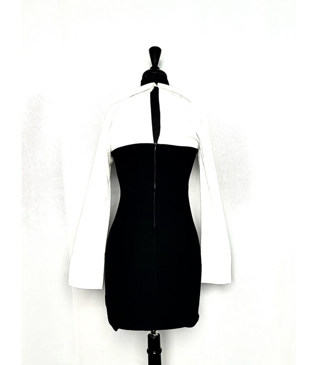 ΔΣΘ SALE! DST Long sleeve bodycon dress (L) (FA25) 50% off