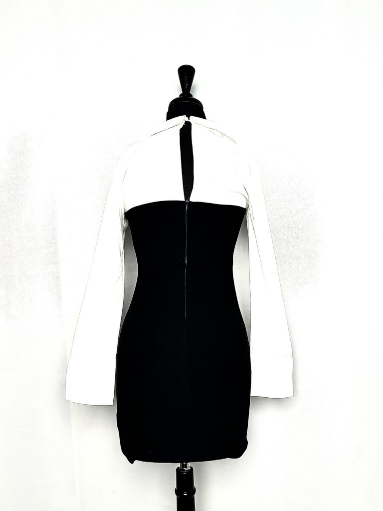 ΔΣΘ DST Long sleeve bodycon dress (L) 2025