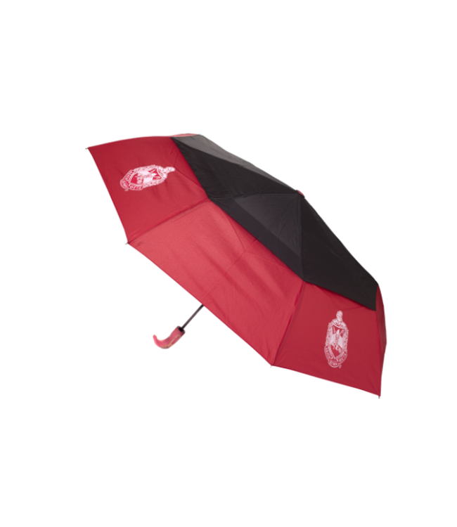 ΔΣΘ DST Hurricane Umbrella 2025