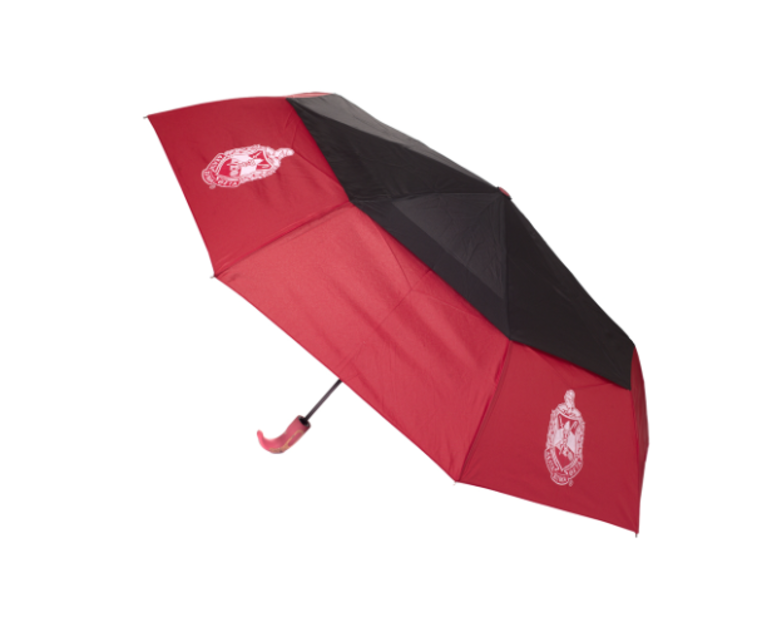 ΔΣΘ DST Hurricane Umbrella 2025