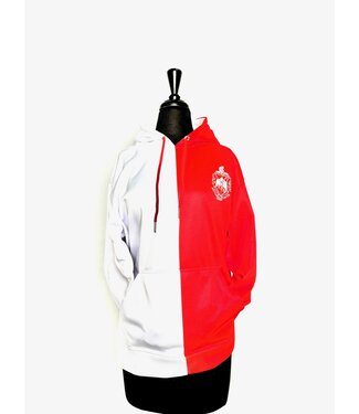 ΔΣΘ DST Color Block Hoodie