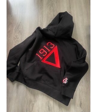 ΔΣΘ DST Black 1913 Hoodie 2025