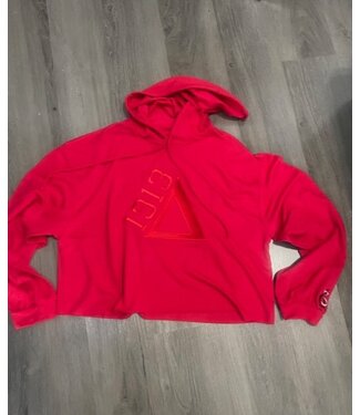 ΔΣΘ DST Lightweight 1913 Hoodie Red & Black 2025