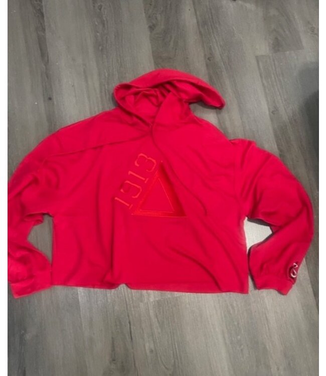 ΔΣΘ DST Lightweight 1913 Hoodie Red (FA25)