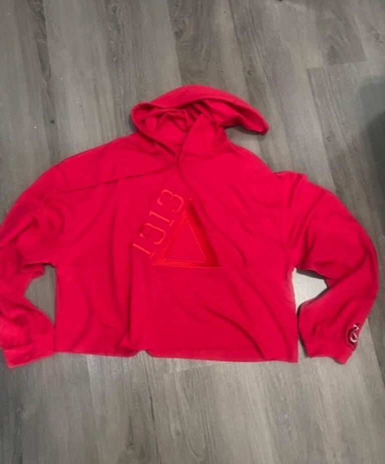 ΔΣΘ DST Lightweight 1913 Hoodie Red & Black 2025