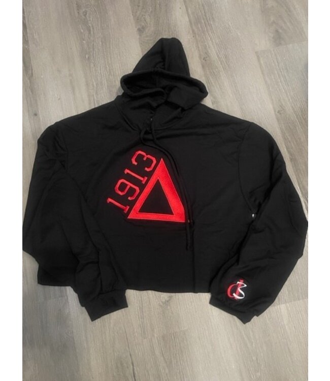ΔΣΘ DST Lightweight 1913 Hoodie Red & Black 2025