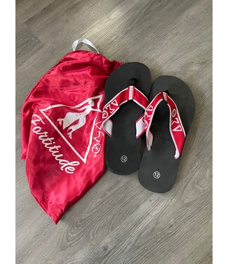 ΔΣΘ SALE DST Flip Flops (Last One Size 12/like 10) (FA25)