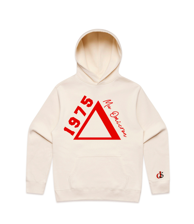 ΔΣΘ MO DST 1975 Embroidered Cream, Black, Gray Relaxed Hoodie