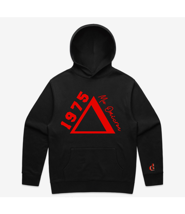 ΔΣΘ MO DST 1975 Embroidered Cream, Black, Gray Relaxed Hoodie