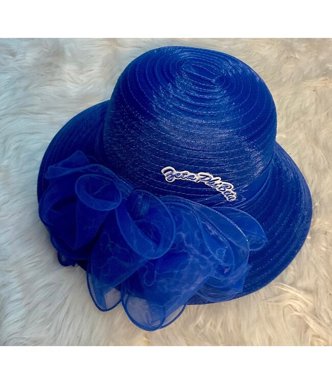 ΖΦΒ SALE - ZPB Sheer  & Straw Hats (FA25Y)