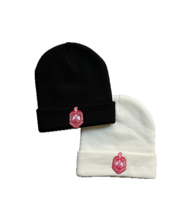 ΔΣΘ DST Shield Cream & Black Traditional Beanie(FA25)