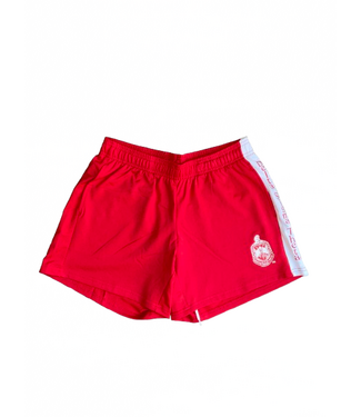 ΔΣΘ DST Performance Shorts (FA25)