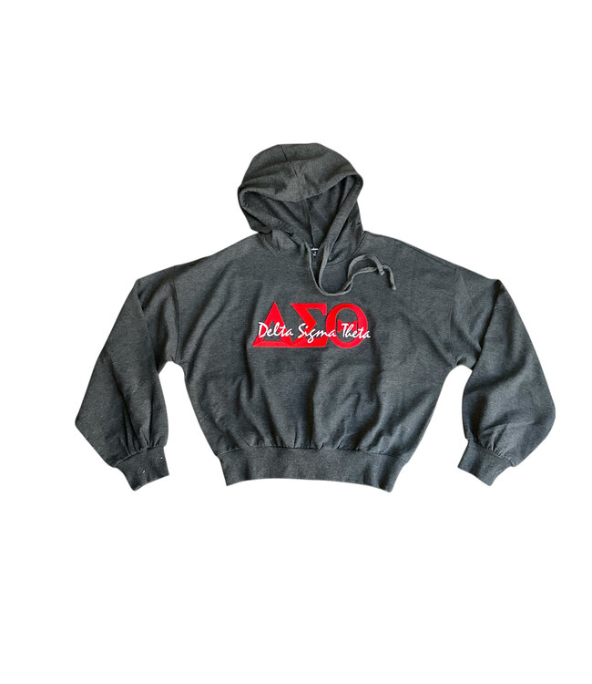 ΔΣΘ DST Charcoal Hoodie(FA25)