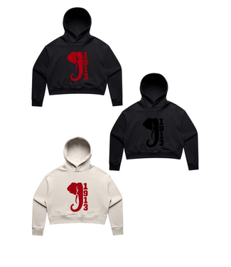 ΔΣΘ DST Embroidered 1913 Elephant Cropped Hoodie (FA25)