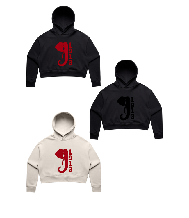 ΔΣΘ DST Embroidered 1913 Elephant Cropped Hoodie (FA25)