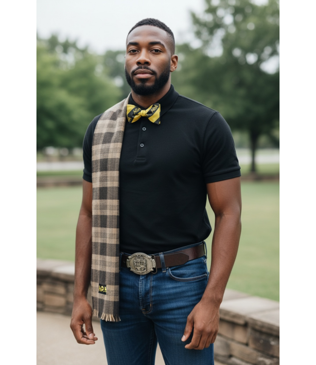 ΑΦΑ SALE! APA Alpha Phi Alpha Bow Tie (SP26)