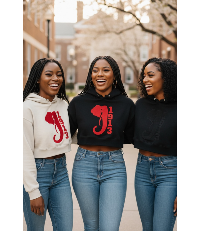 ΔΣΘ DST Embroidered 1913 Elephant Cropped Hoodie (FA25)