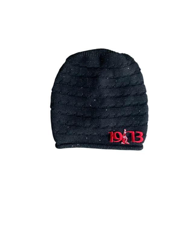 ΔΣΘ NEW! DST Black Slouch Beanie (SP26)