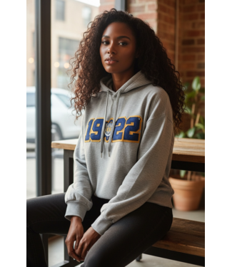 ΣΓΡ SALE! SGR Sigma Gamma Rho Gray 1922 Hoodie (LG) (SP26)