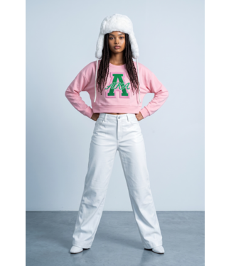 ΑΚΑ NEW! AKA "LOVE COLLECTION" A Pink Crop Sweatshirt w/ Thumbholes (FA26)