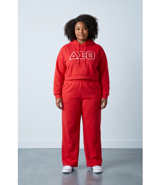 ΔΣΘ NEW! DST Red Crop Hoodie (FA26)