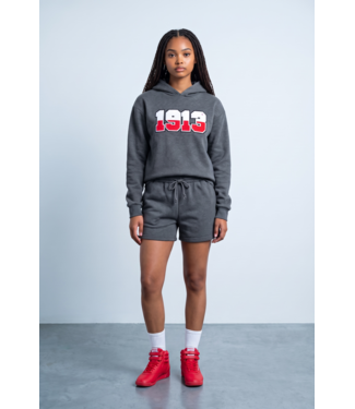 ΔΣΘ NEW! DST Gray 1913 Short Set (FA26)