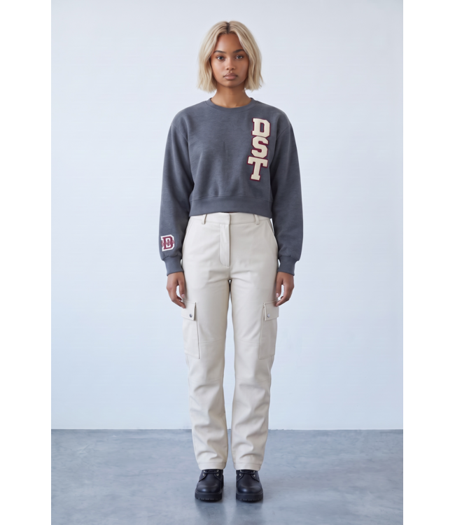 ΔΣΘ NEW! DST Cropped Charcoal Sweatshirt (FA26)
