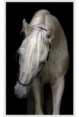 Wendover Art Pasha,  51"w x 83"h