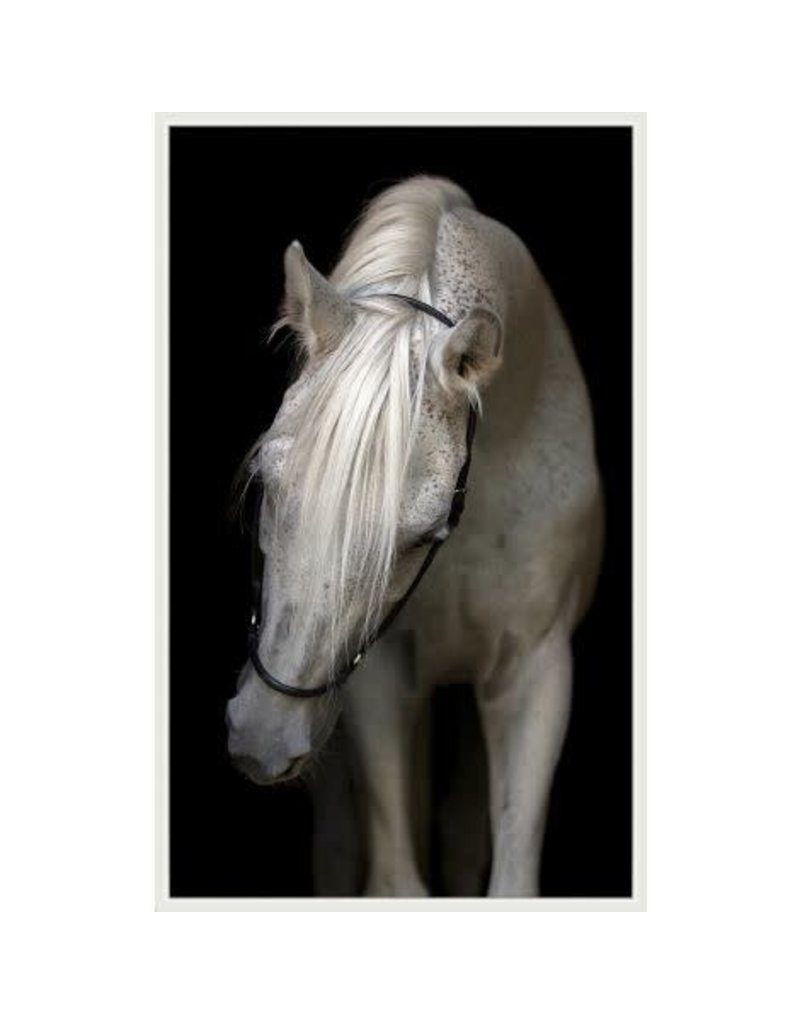 Wendover Art Pasha,  51"w x 83"h