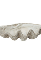 Magnesia Seashell Clam Décor