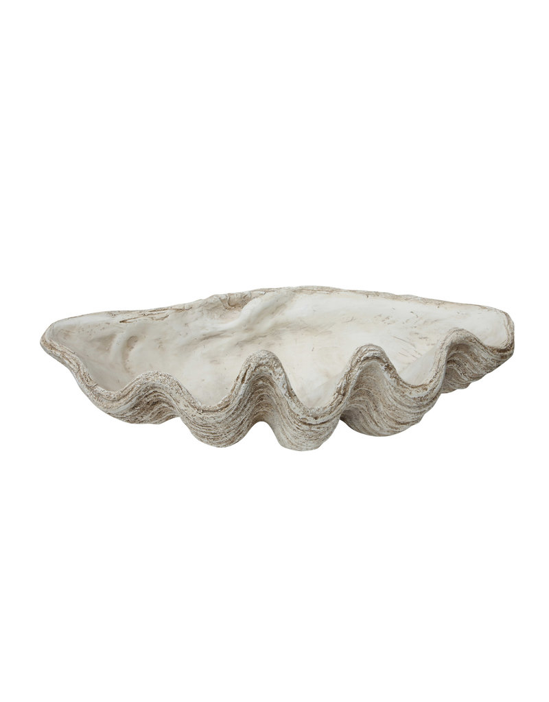 Magnesia Seashell Clam Décor