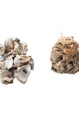 Oyster Shells in Raffia Mesh Bag