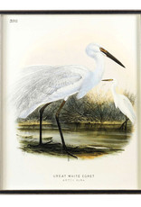 Waterbirds Waterbirds Great White Egret (398), 24" x 32"