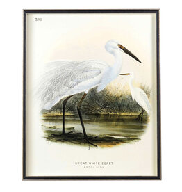 Waterbirds Waterbirds Great White Egret (398), 24" x 32"