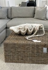 Magnesia Seashell Clam Décor