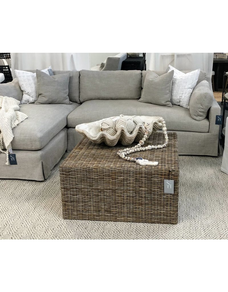 Magnesia Seashell Clam Décor